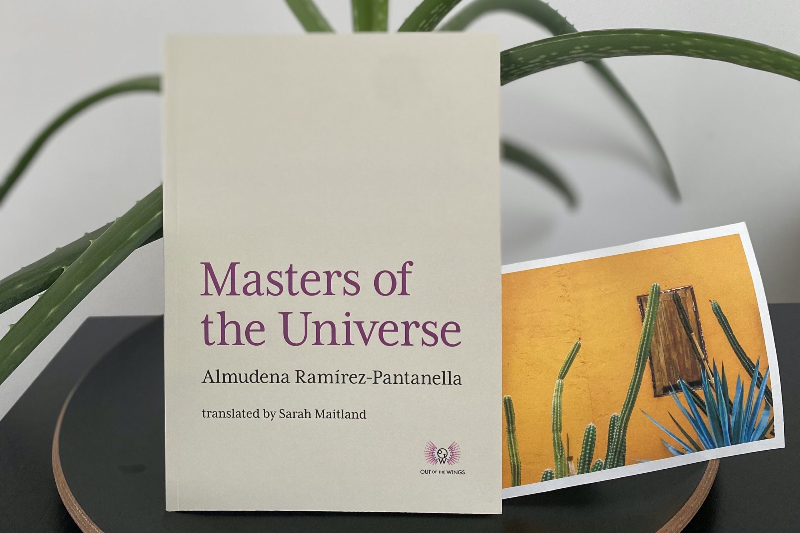 Cover of Masters of the Universe, next to a plant